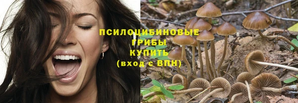 прущая мука Надым