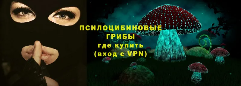 Псилоцибиновые грибы Psilocybe  дарнет шоп  Луховицы 