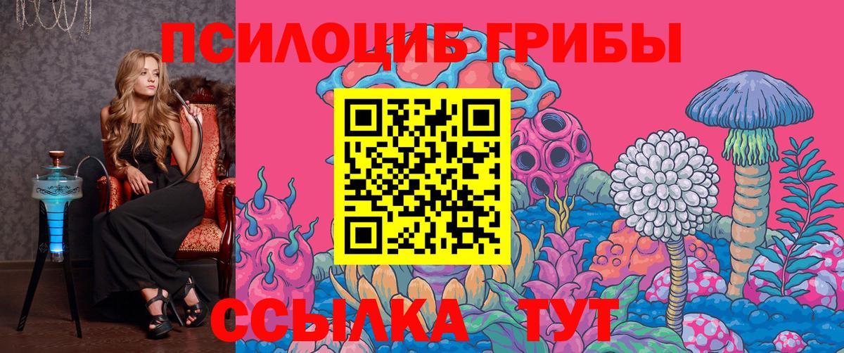Галлюциногенные грибы Psilocybe Луховицы