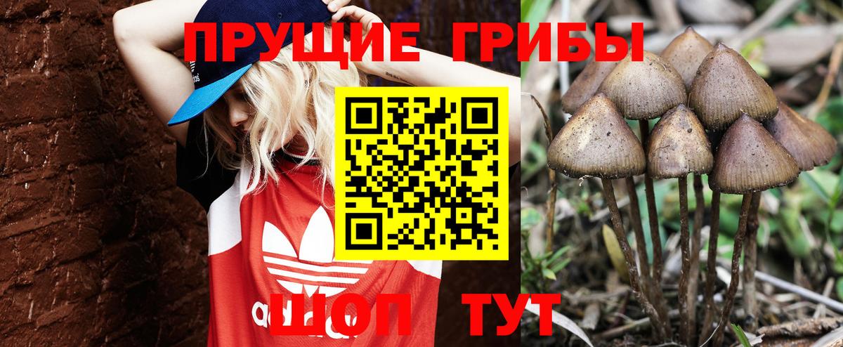 A PVP Луховицы