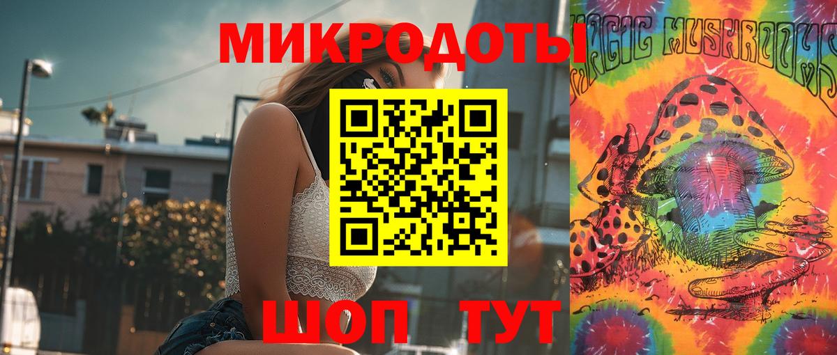 Галлюциногенные грибы Psilocybine cubensis  Луховицы 