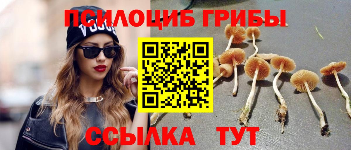 Галлюциногенные грибы мицелий  Вход с VPN  Луховицы 